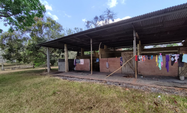 Se Vende Finca de 18 Hectáreas Cerro Cama