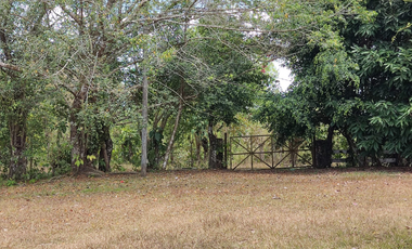 Se Vende Finca de 18 Hectáreas Cerro Cama