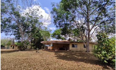 Se Vende Finca de 18 Hectáreas Cerro Cama