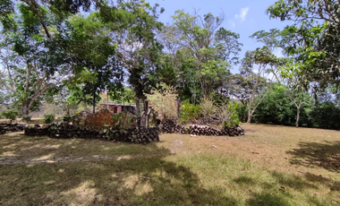 Se Vende Finca de 18 Hectáreas Cerro Cama