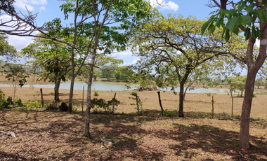 Se Vende Finca de 18 Hectáreas Cerro Cama