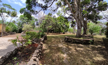 Se Vende Finca de 18 Hectáreas Cerro Cama