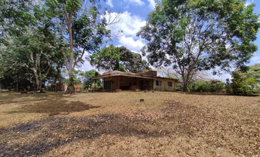 Se Vende Finca de 18 Hectáreas Cerro Cama