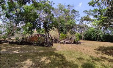 Se Vende Finca de 18 Hectáreas Cerro Cama