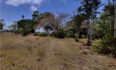 Se Vende Finca de 18 Hectáreas Cerro Cama