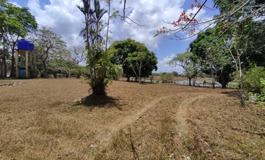 Se Vende Finca de 18 Hectáreas Cerro Cama