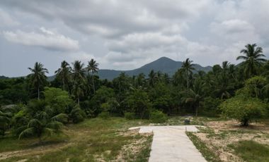 Land for sale in Ko Pha-Ngan, Surat Thani