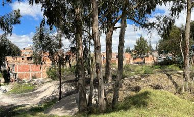 lote en venta en curubal - detras del terminal nuevo. Cod V4776