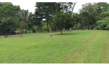 VENDO FINCA EN CAPIRA LAS OLLAS ARRIBA 3 HECTREAS