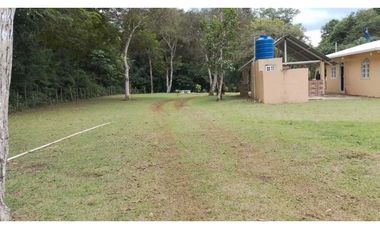 VENDO FINCA EN CAPIRA LAS OLLAS ARRIBA 3 HECTREAS