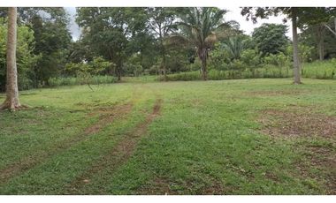 VENDO FINCA EN CAPIRA LAS OLLAS ARRIBA 3 HECTREAS