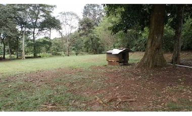 VENDO FINCA EN CAPIRA LAS OLLAS ARRIBA 3 HECTREAS