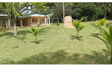 VENDO FINCA EN CAPIRA LAS OLLAS ARRIBA 3 HECTREAS