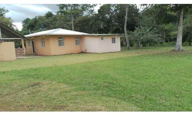 VENDO FINCA EN CAPIRA LAS OLLAS ARRIBA 3 HECTREAS