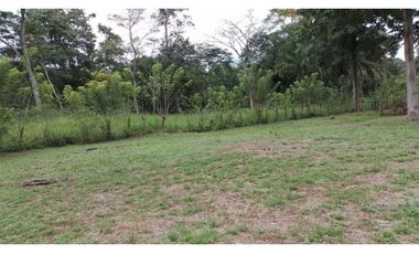 VENDO FINCA EN CAPIRA LAS OLLAS ARRIBA 3 HECTREAS