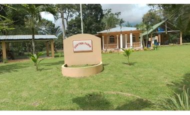 VENDO FINCA EN CAPIRA LAS OLLAS ARRIBA 3 HECTREAS