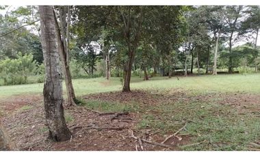 VENDO FINCA EN CAPIRA LAS OLLAS ARRIBA 3 HECTREAS