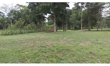 VENDO FINCA EN CAPIRA LAS OLLAS ARRIBA 3 HECTREAS