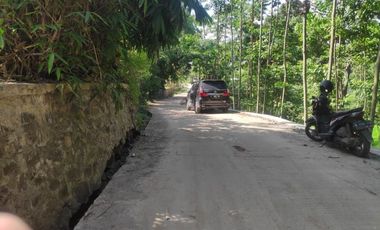 Tanah Cicalengka Bandung 900rb permeter SHM
