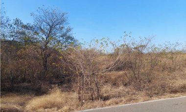 Lote en venta Las Raices Valledupar