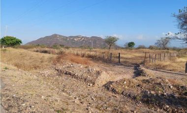 Lote en venta Las Raices Valledupar