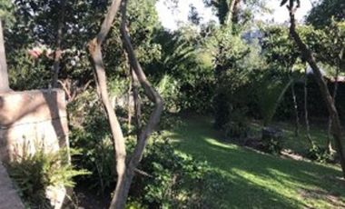 Palermo, LOMAS HIPÓDROMO