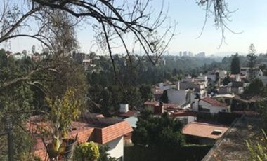 Palermo, LOMAS HIPÓDROMO