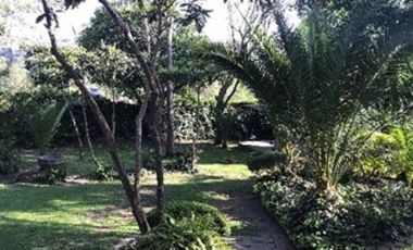 Palermo, LOMAS HIPÓDROMO