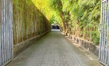 RARE 41 YEAR LEASE until 2067!  Modern Industrial 4 Bedrooms Dual-Unit Estate in Prime Sanur, Bali