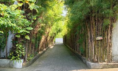 RARE 41 YEAR LEASE until 2067!  Modern Industrial 4 Bedrooms Dual-Unit Estate in Prime Sanur, Bali