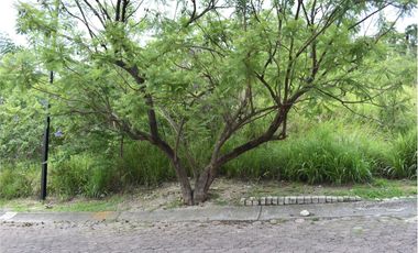 La noria: excelente lote en privada