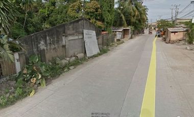 Vacant Lot in Mandaue City, Cebu 1,000 sqm