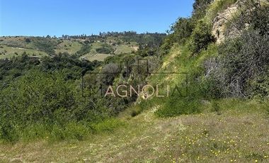 Sitio en Venta en las aguilas