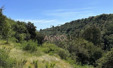 Sitio en Venta en las aguilas