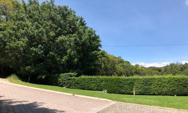 Terreno en venta. Ixtapan de la Sal, Edo. Mex.