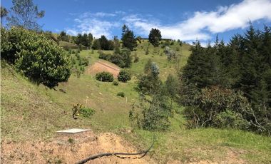 HERMOSO LOTE  PARCELACION VIA EL RETIRO LA CEJA  ESPECTACULAR VISTA