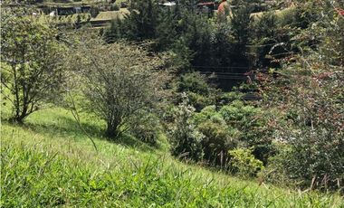 HERMOSO LOTE  PARCELACION VIA EL RETIRO LA CEJA  ESPECTACULAR VISTA