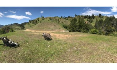 HERMOSO LOTE  PARCELACION VIA EL RETIRO LA CEJA  ESPECTACULAR VISTA