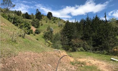 HERMOSO LOTE  PARCELACION VIA EL RETIRO LA CEJA  ESPECTACULAR VISTA