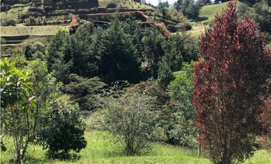 HERMOSO LOTE  PARCELACION VIA EL RETIRO LA CEJA  ESPECTACULAR VISTA