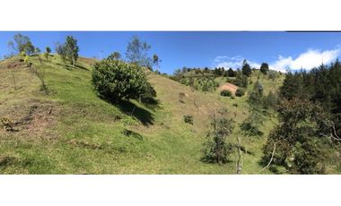 HERMOSO LOTE  PARCELACION VIA EL RETIRO LA CEJA  ESPECTACULAR VISTA