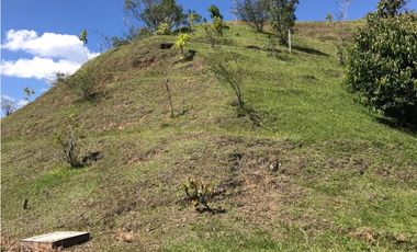 HERMOSO LOTE  PARCELACION VIA EL RETIRO LA CEJA  ESPECTACULAR VISTA