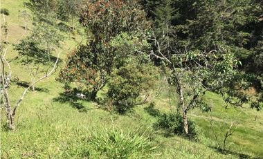 HERMOSO LOTE  PARCELACION VIA EL RETIRO LA CEJA  ESPECTACULAR VISTA