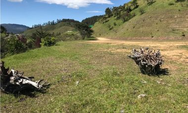 HERMOSO LOTE  PARCELACION VIA EL RETIRO LA CEJA  ESPECTACULAR VISTA