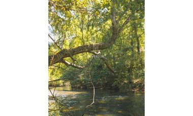 EN VENTA 18 PARCELAS EN VILCÚN REGIÓN DE LA ARAUCANA