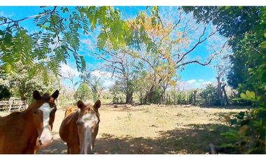 FINCA EN MATA DEL NANCE, URBANIZABLE O HABITACIONAL.