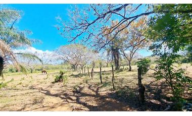 FINCA EN MATA DEL NANCE, URBANIZABLE O HABITACIONAL.