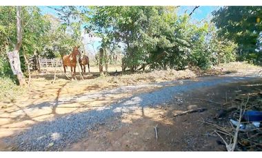 FINCA EN MATA DEL NANCE, URBANIZABLE O HABITACIONAL.
