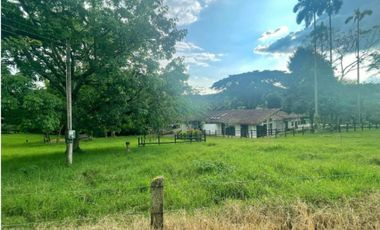 FINCA GANADERA EN VENTA PUEBLO TAPAO QUINDIO