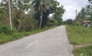 Agricultural Lot Suitable for Resort Development for Sale in San Vicente, Palawan